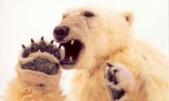 Polar Bear King Dodgy Effects